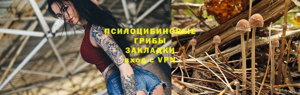 jwh Лиски